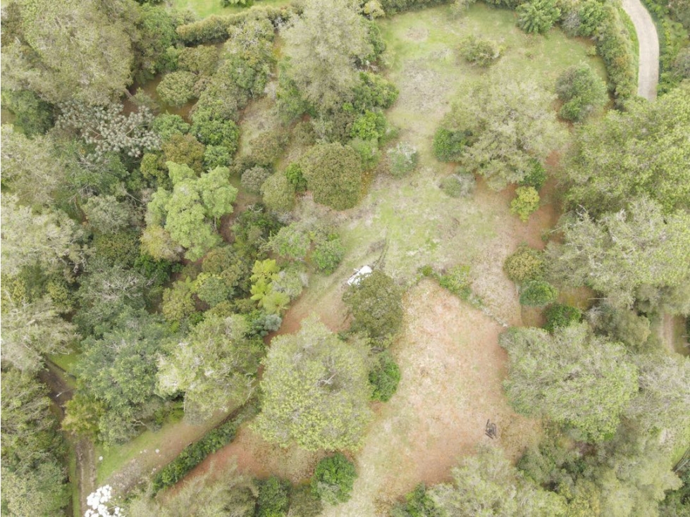 Lote Entrebosques — foto 6