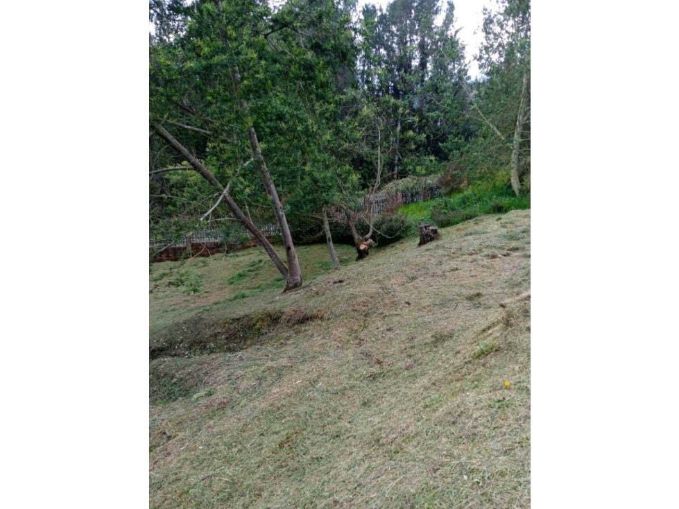 Lote Escobero, Envigado.