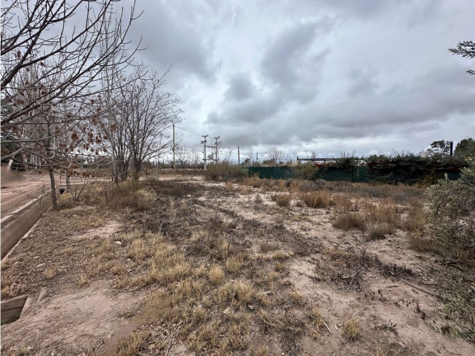 Lote esquina en venta 603 m2, Drummond, Luján de Cuyo - 4