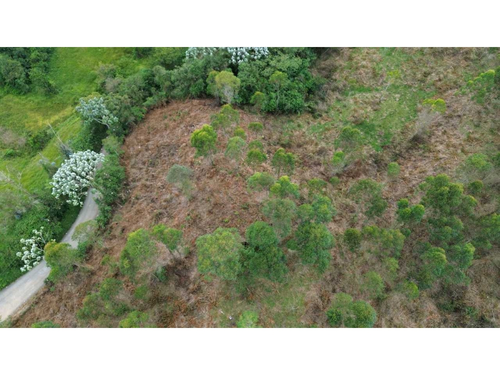 Lote esquinero con frente sobre la doble calzada Pereira - Armenia — foto 3