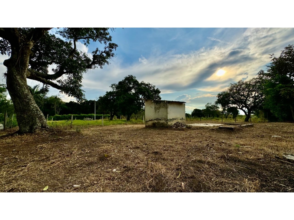 Lote esquinero en parcelación en venta Tienda Nueva Palmira Valle - 4