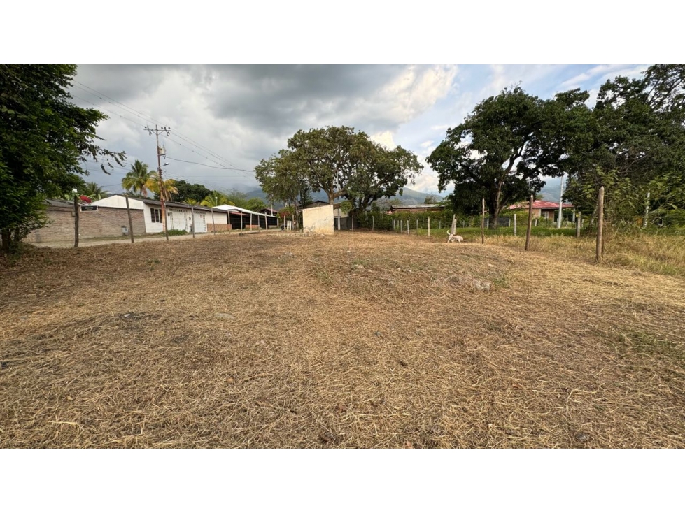 Lote esquinero en parcelación en venta Tienda Nueva Palmira Valle - 5
