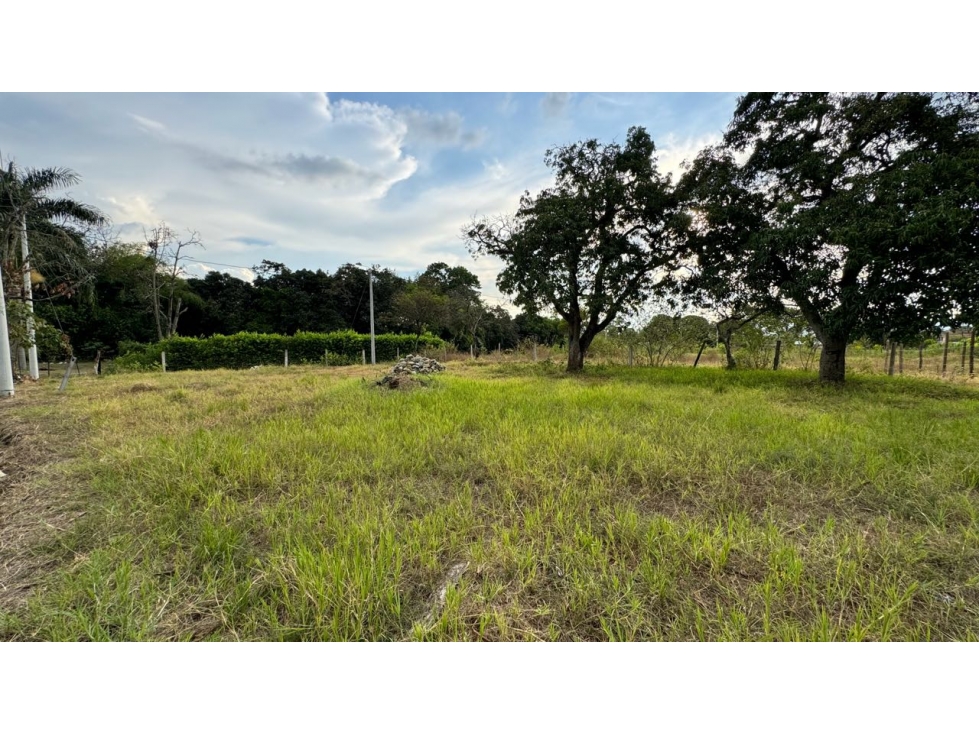 Lote esquinero en parcelación en venta Tienda Nueva Palmira Valle - 3