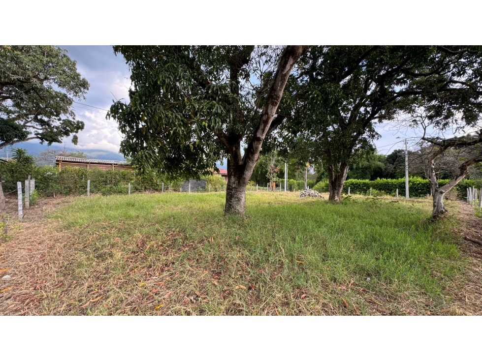 Lote esquinero en parcelación en venta Tienda Nueva Palmira Valle - 6