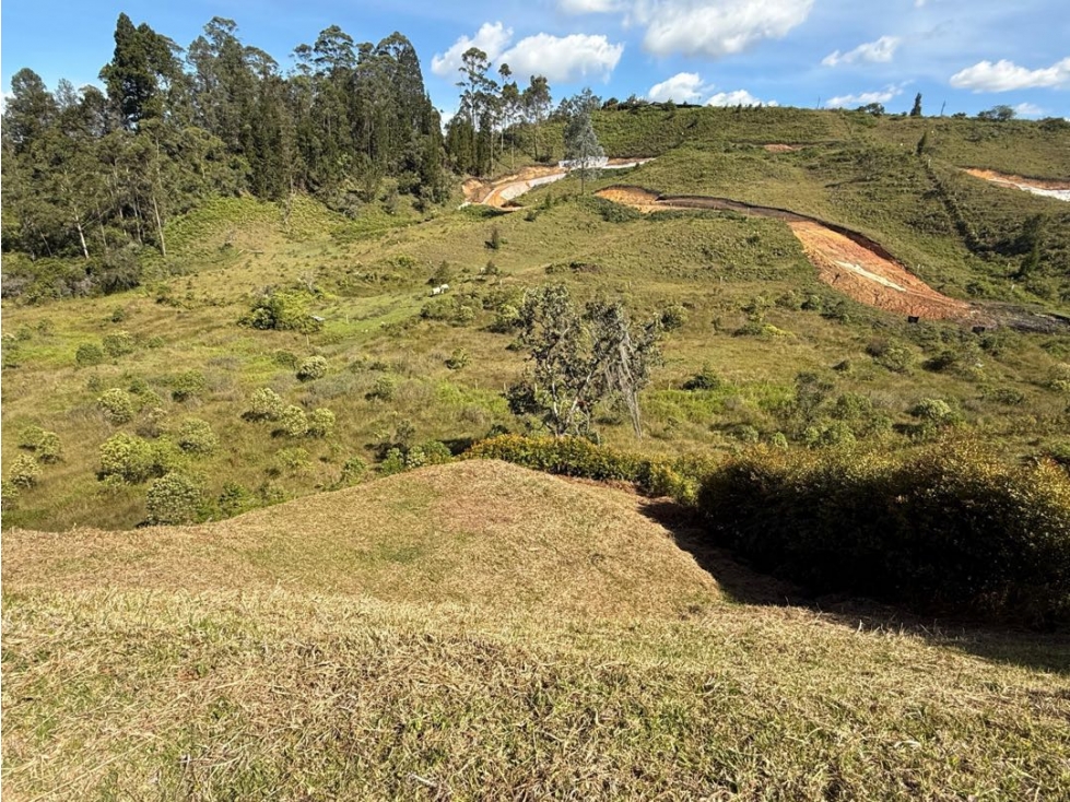 LOTE EXCLUSIVO CONDOMINIO CAMPESTRE | RIONEGRO EN VENTA F503