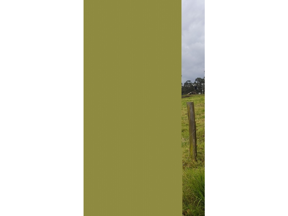 LOTE FINCA BONZA VEREDA TILATA - 1