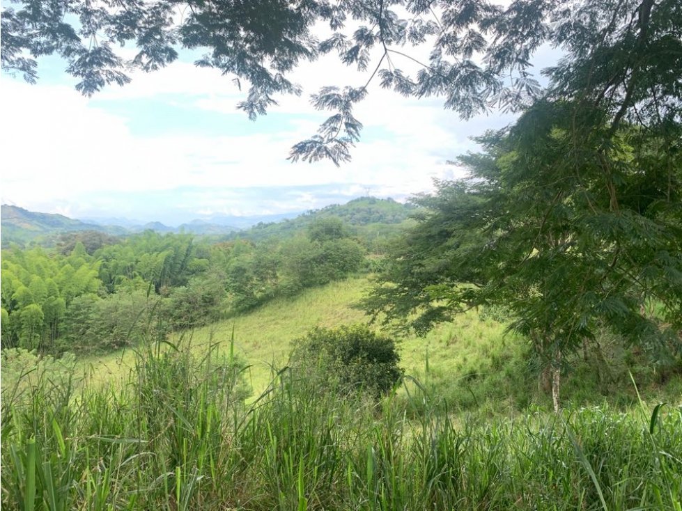 Lote Finca Cambia Manizales Pereira - 3