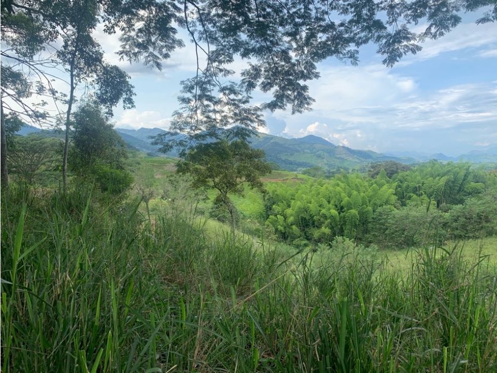 Lote Finca Cambia Manizales Pereira - 2