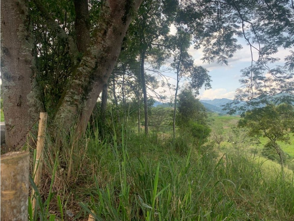 Lote Finca Cambia Manizales Pereira - 4