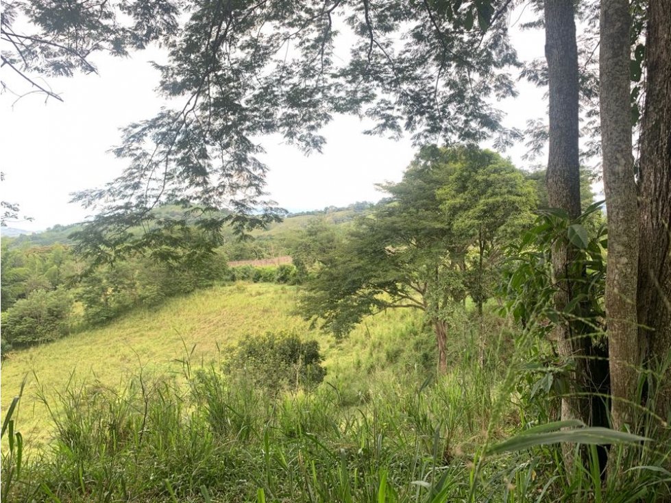Lote Finca Cambia Manizales Pereira - 5