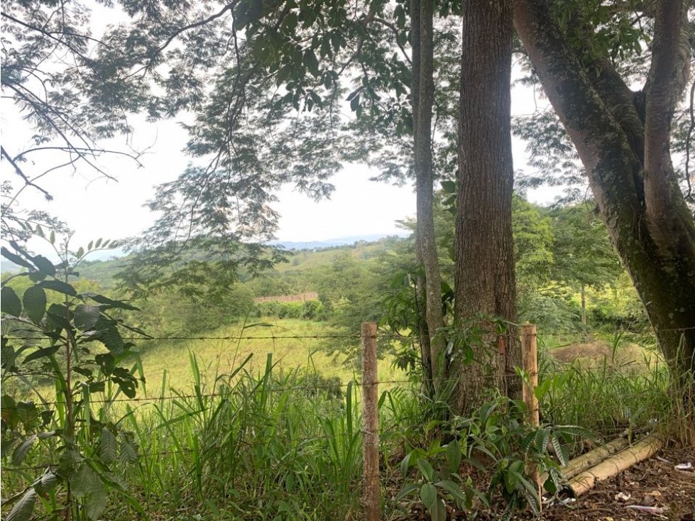Lote Finca Cambia Manizales Pereira - 6