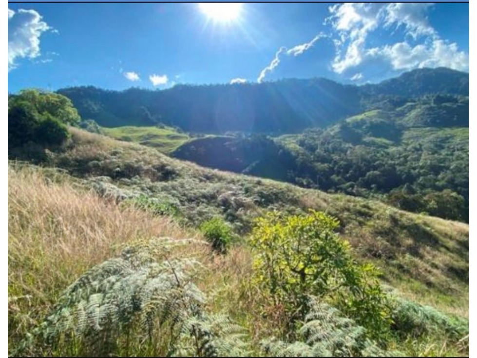 Lote en la ceja para desarrollo parcelación y agrícola — foto 3