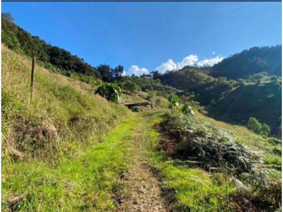 Lote en la ceja para desarrollo parcelación y agrícola — foto 4