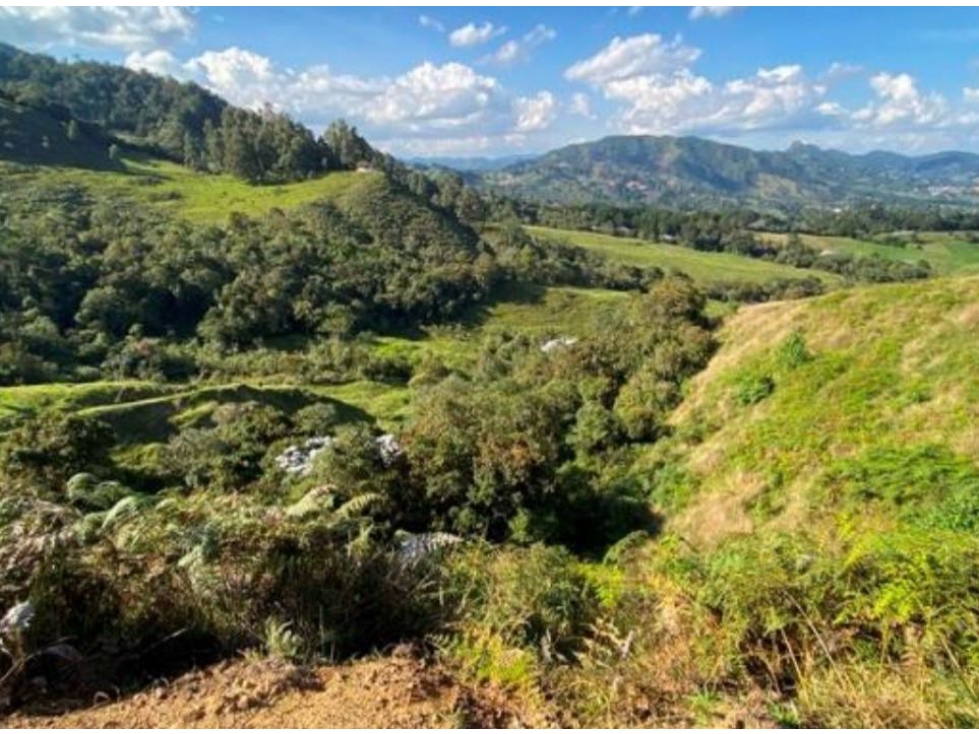 Lote en la ceja para desarrollo parcelación y agrícola — foto 5
