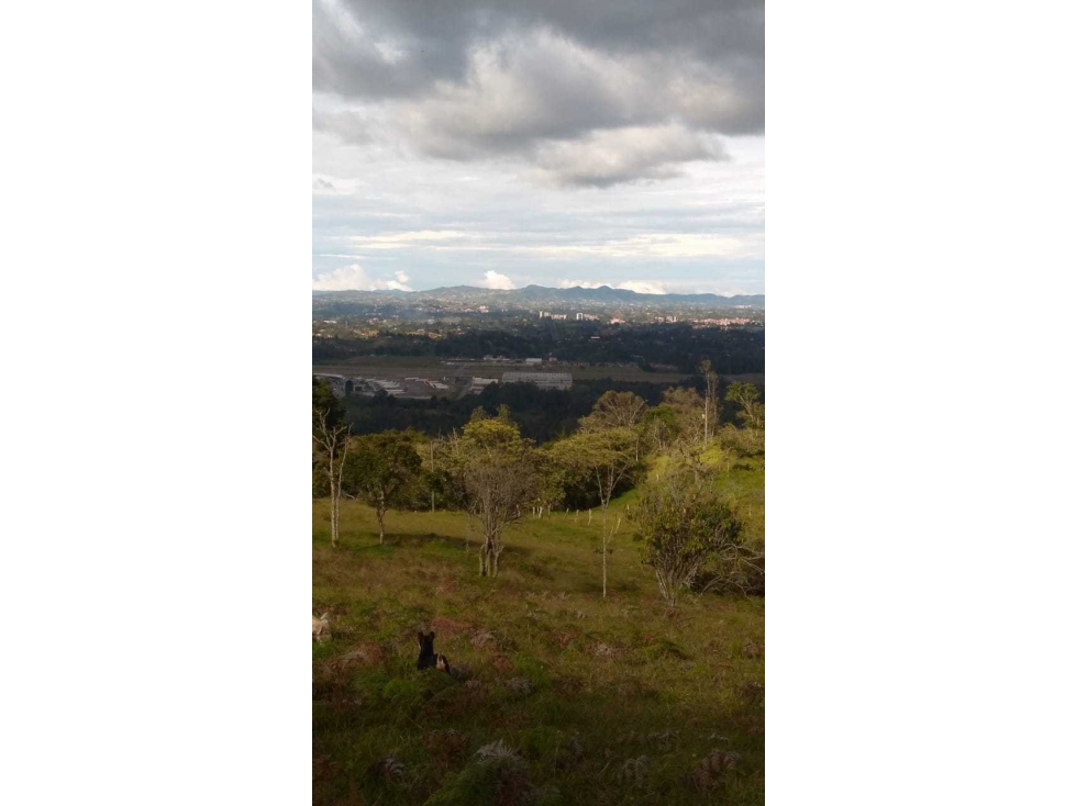 Lote finca rionegro aeropuerto industrial - 2