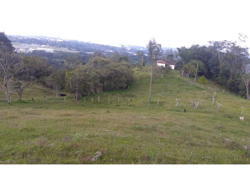 Lote finca rionegro aeropuerto industrial - 3