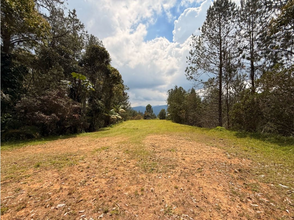 Lote Fizebad