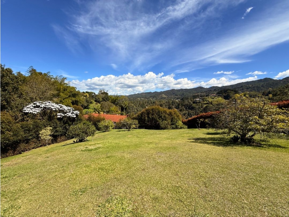 Lote Fizebad