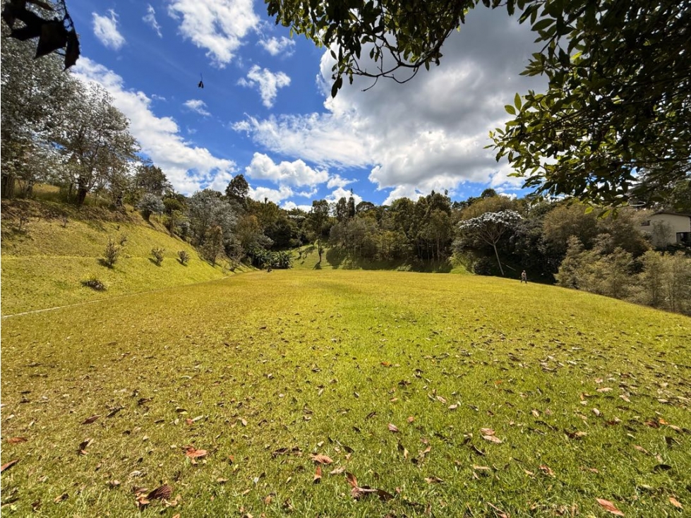 Lote Fizebad