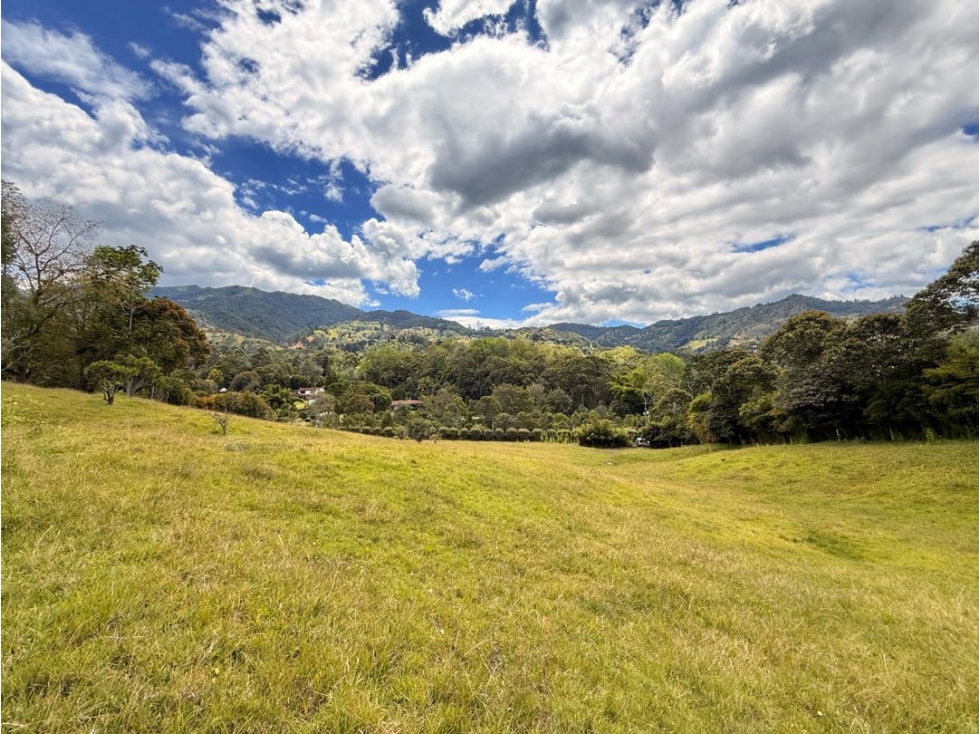 Lote Fizebad