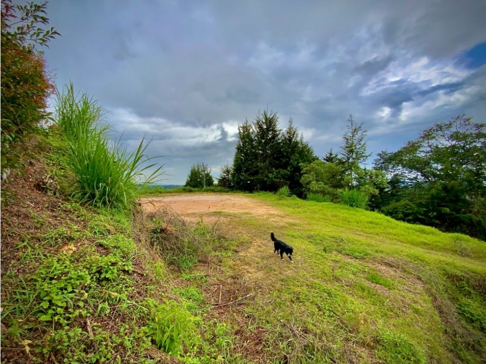 Venta Lote Plano Rionegro Sector Aeropuerto JMC — foto 4