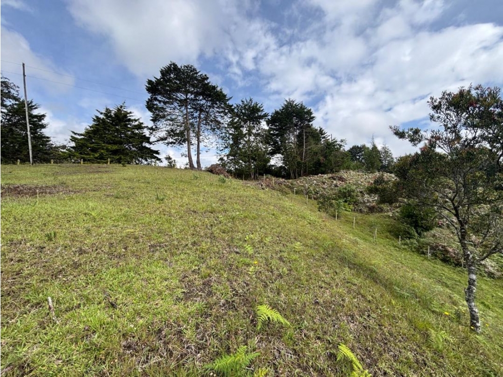 Venta lote vía Aeropuerto Hipódromo con uso mixto y 17.190 m² — foto 6