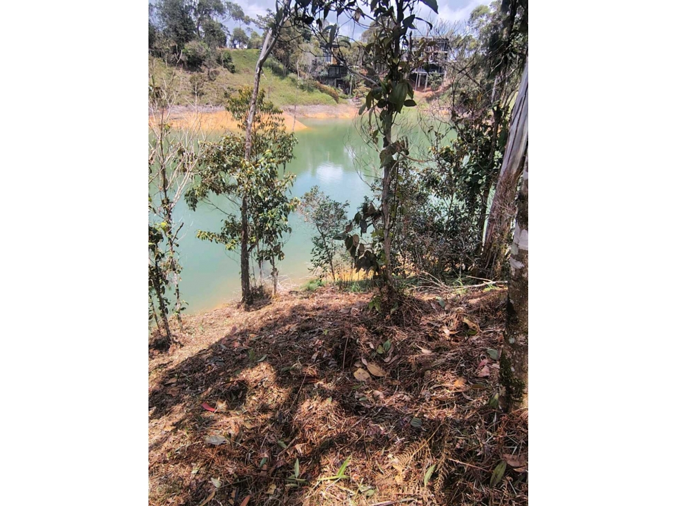Lote Guatapé