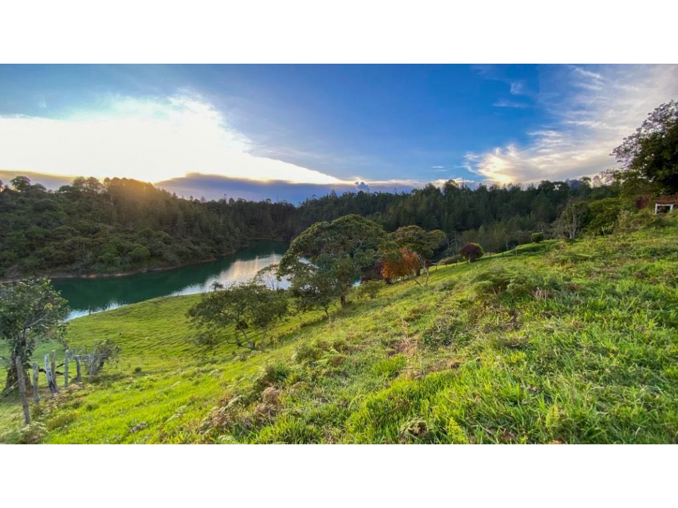 Lote Guatapé uso comercial 5.500m2con embalse — foto 2