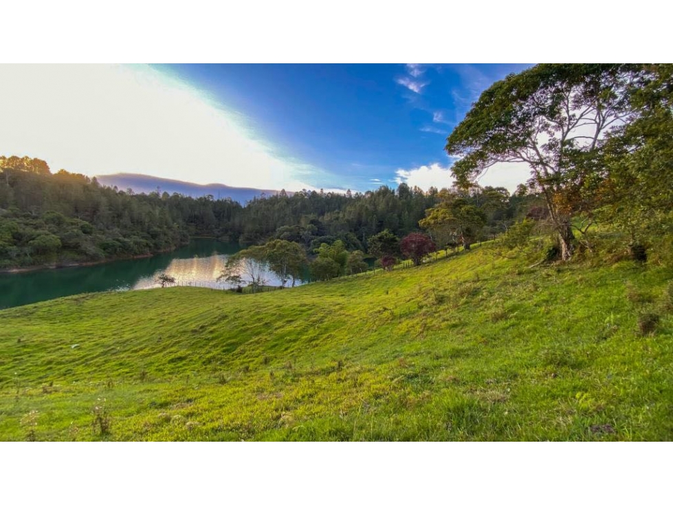 Lote Guatapé uso comercial 5.500m2con embalse — foto 3