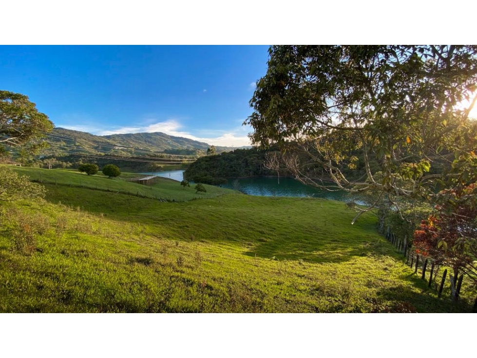 Lote Guatapé uso comercial 5.500m2con embalse — foto 4