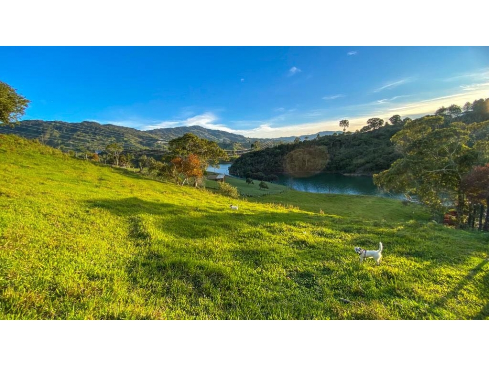 Lote Guatapé uso comercial 5.500m2con embalse — foto 5