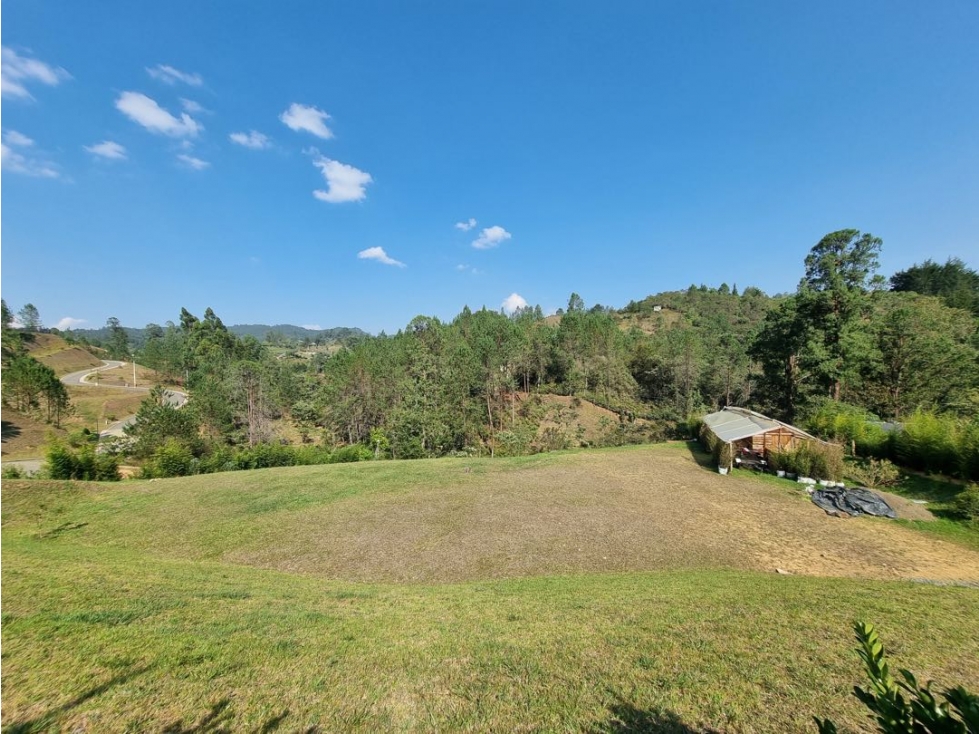 Lote Horizontes