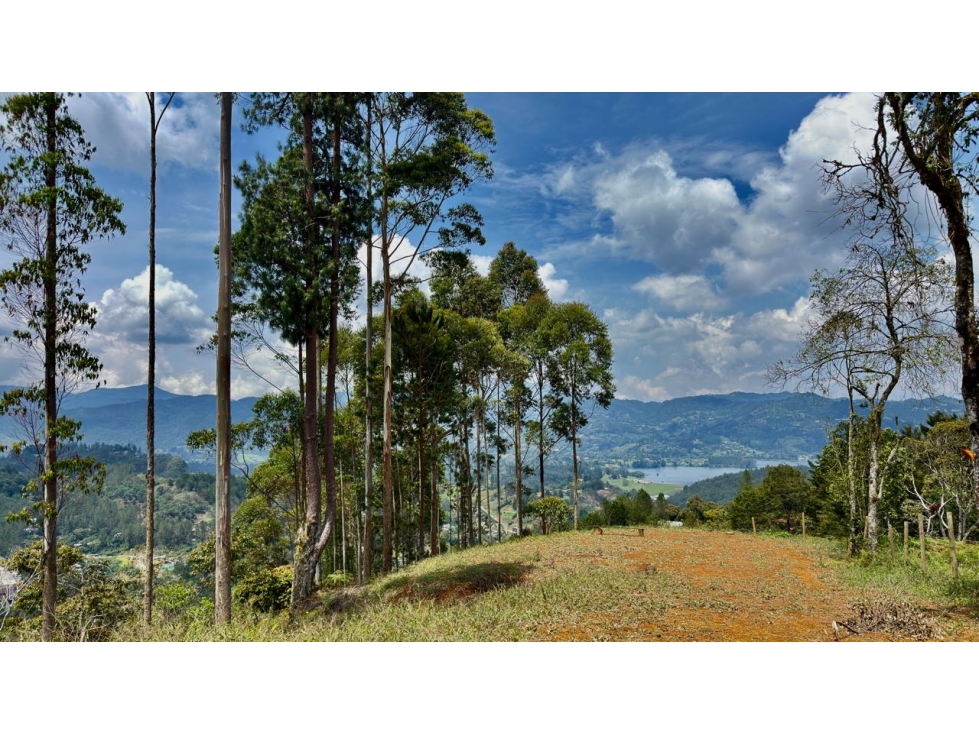 Lote Horizontes