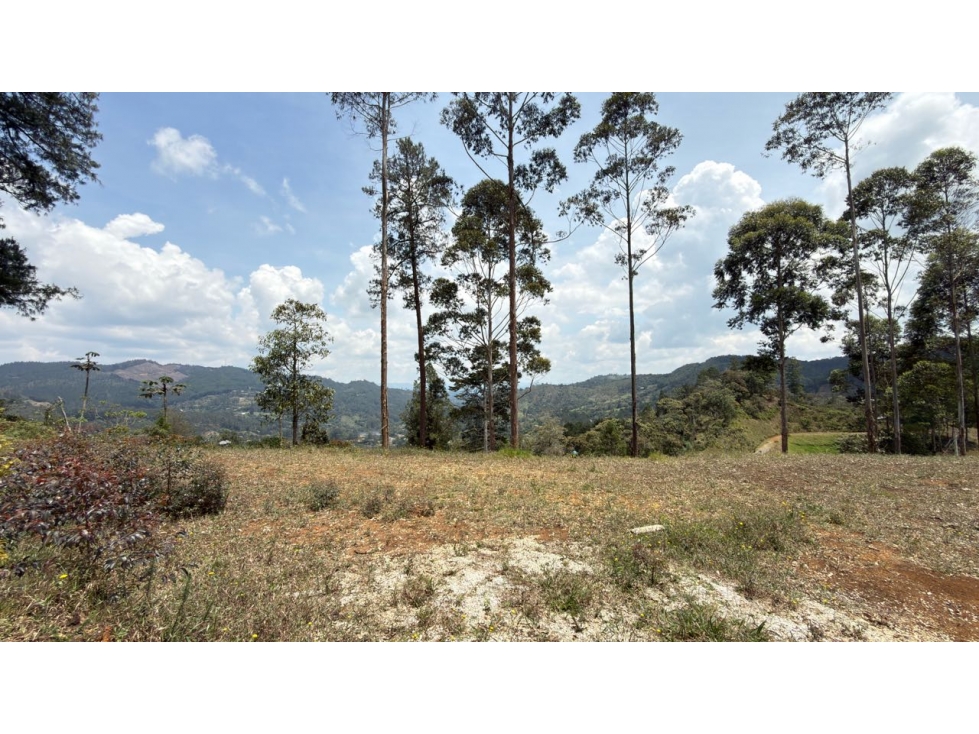 Lote Horizontes