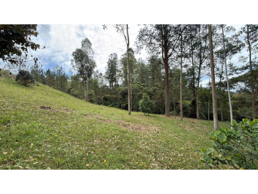Lote Horizontes