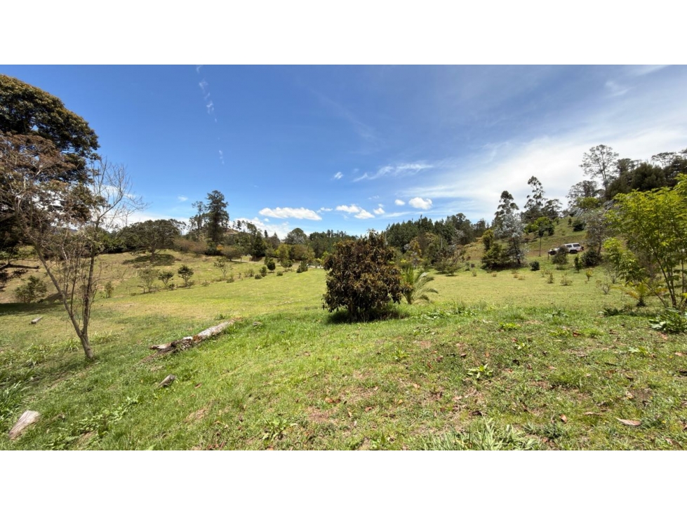 Lote Horizontes — foto 4