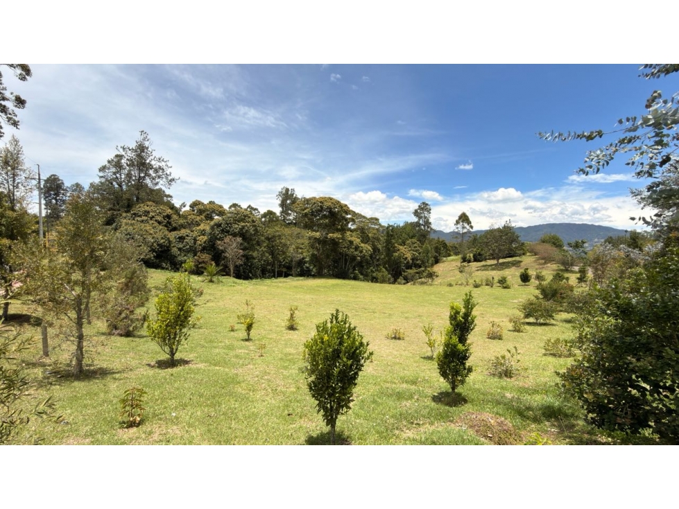 Lote Horizontes