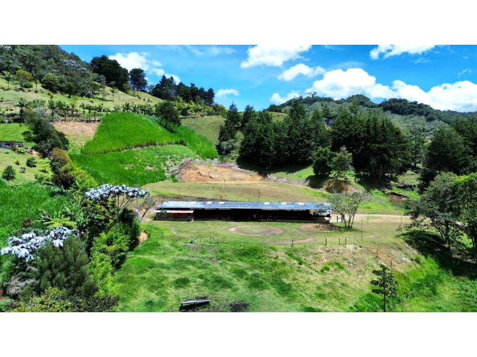 LOTE I RIONEGRO I EL TABLAZO — foto 3