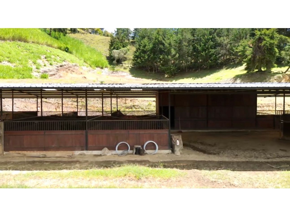 LOTE I RIONEGRO I EL TABLAZO — foto 4