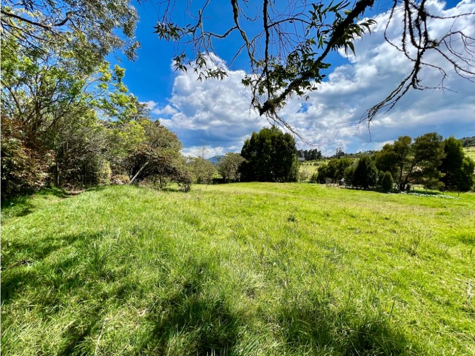 LOTE INDEPENDIENTE ALTO DE LAS PALMAS. MUY NEGOCIABLE - 6
