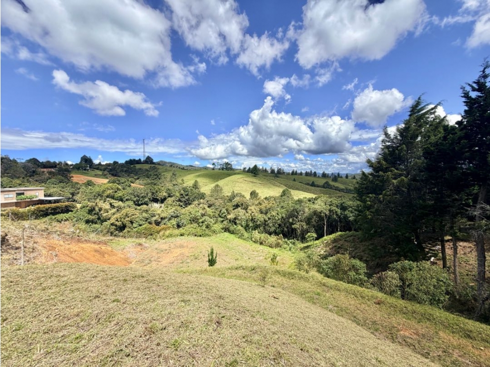 Lote Independiente Alto de Palmas | Sector Charco Azul | 7.500Mts