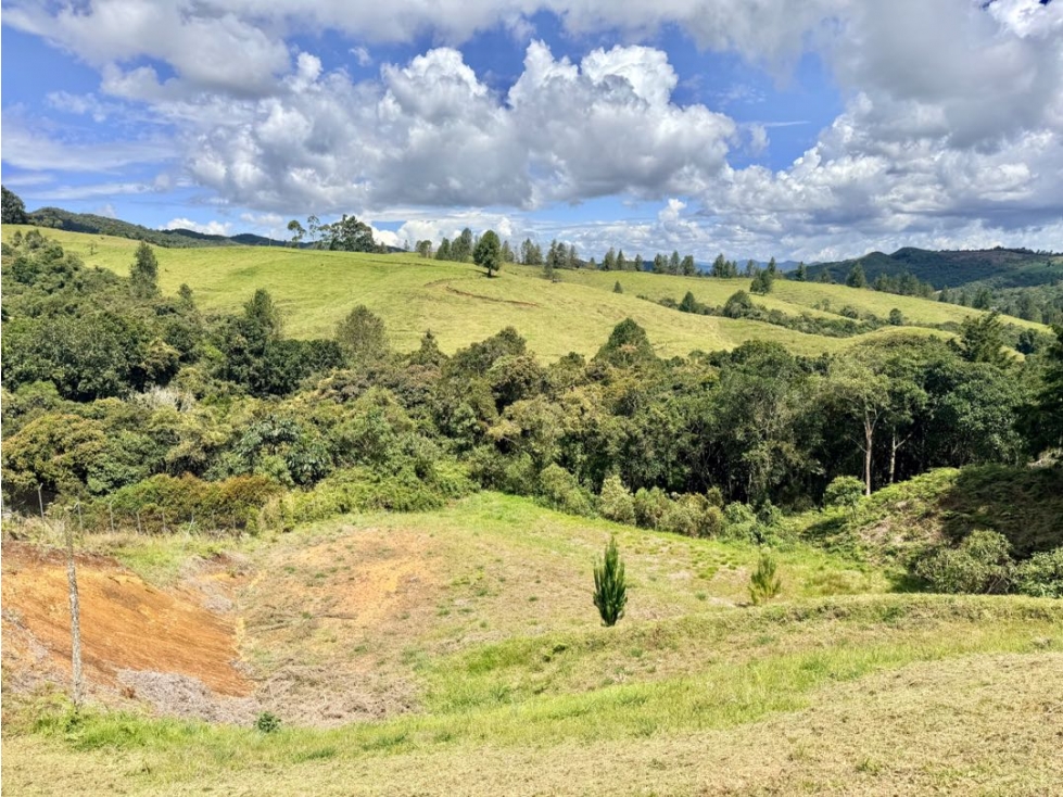 Lote Independiente Alto de Palmas | Sector Charco Azul | 7.500Mts — foto 5
