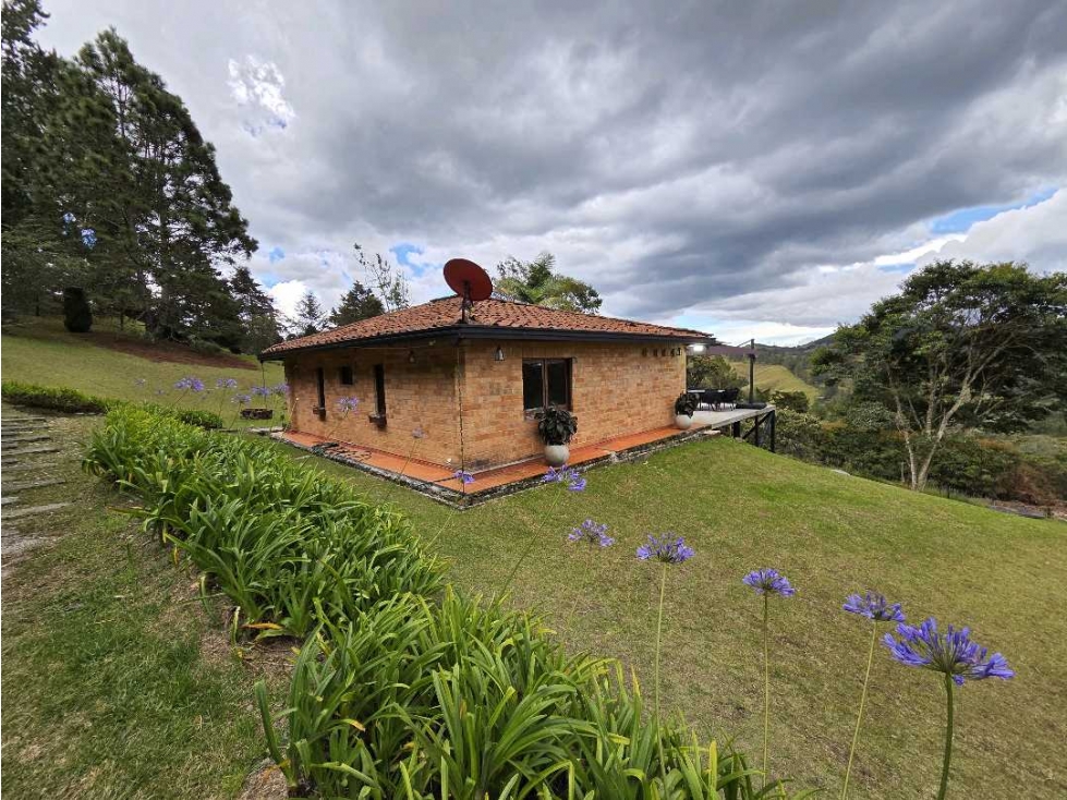LOTE INDEPENDIENTE CON CASA EN EL ALTO DE PALMAS
