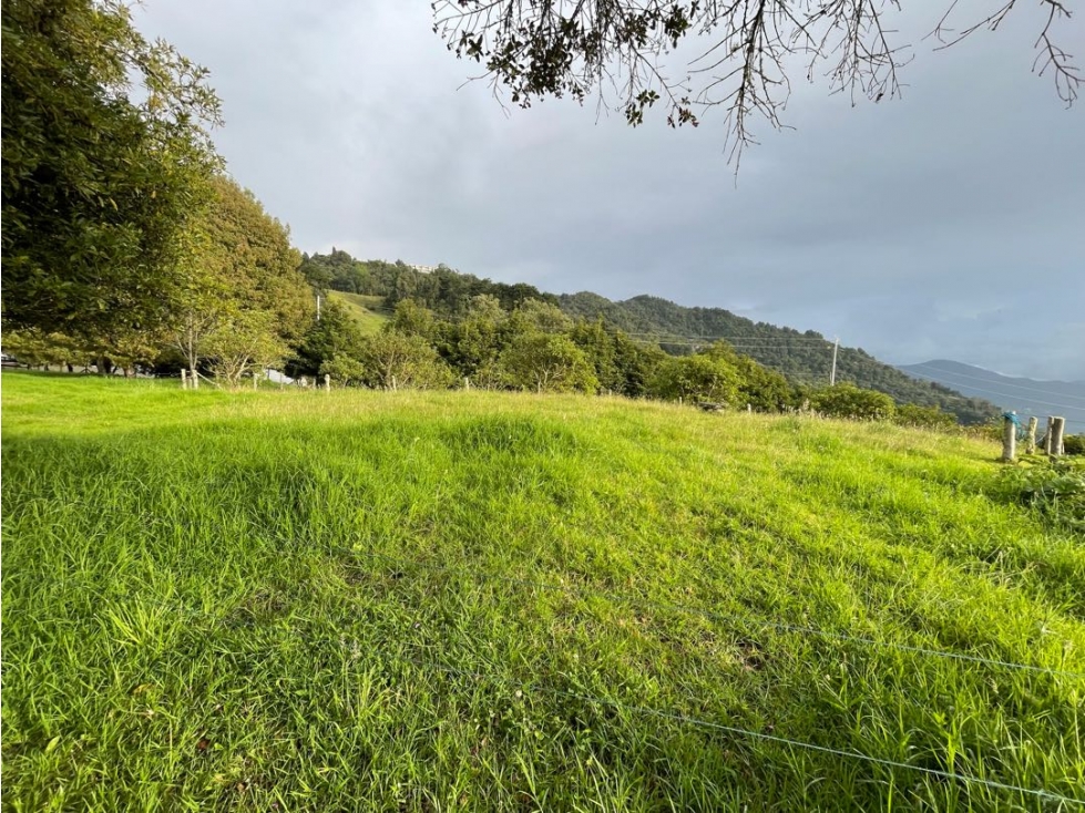 Lote independiente con robles, lago, bosque. Vía Las Palmas Medellín. — foto 3