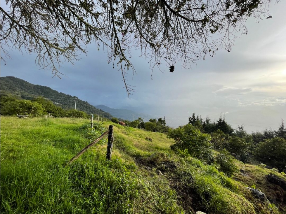 Lote independiente con robles, lago, bosque. Vía Las Palmas Medellín. — foto 4