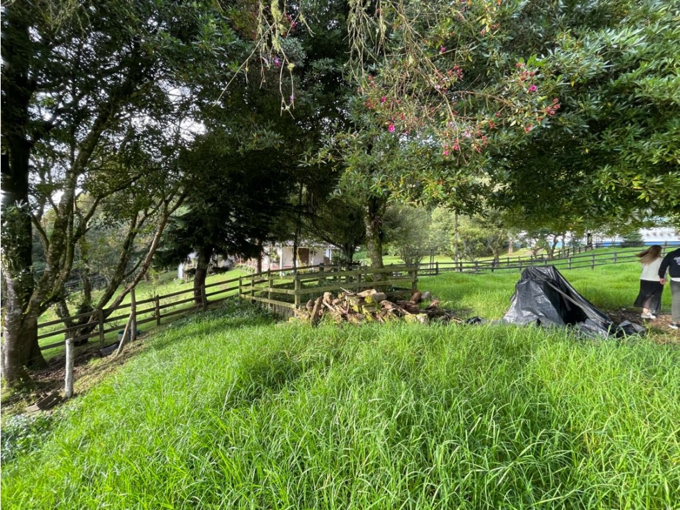 Lote independiente con robles, lago, bosque. Vía Las Palmas Medellín. — foto 5