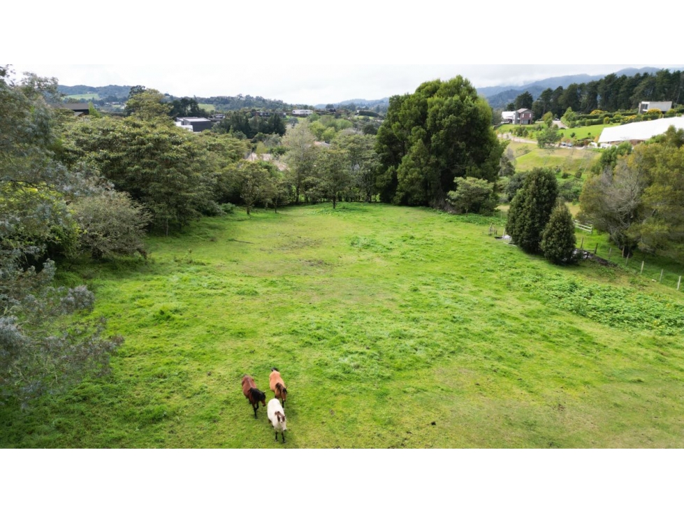 LOTE INDEPENDIENTE EN EL ALTO DE LAS PALMAS/ ENVIGADO/ LA ACUARELA