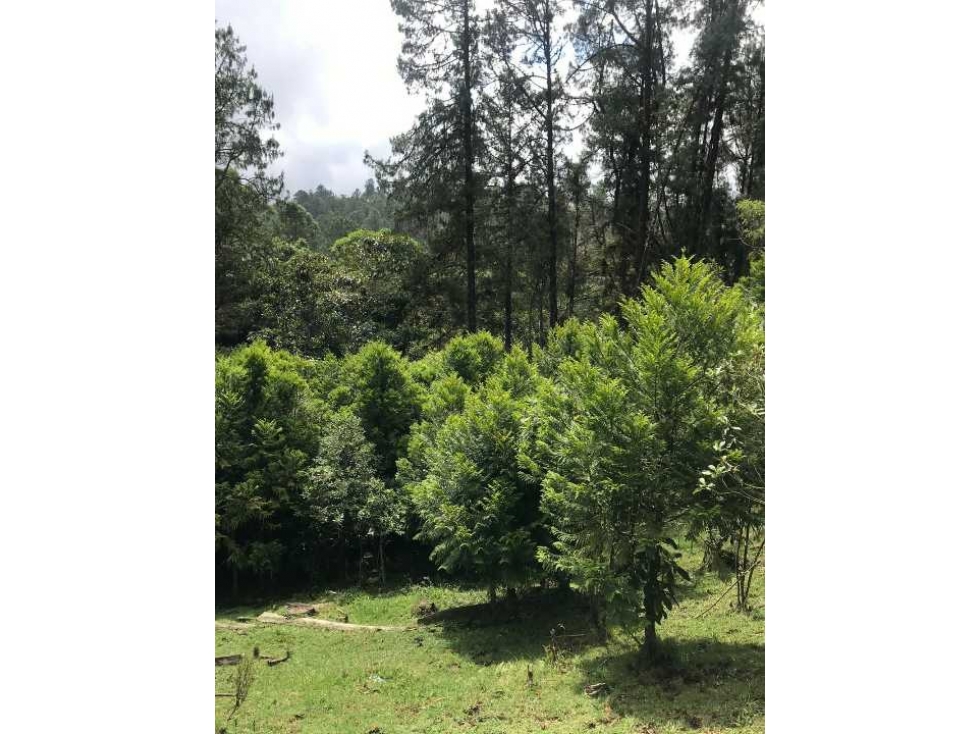 LOTE EN VENTA INDEPENDIENTE ALTO DE LAS PALMAS (T) — foto 6