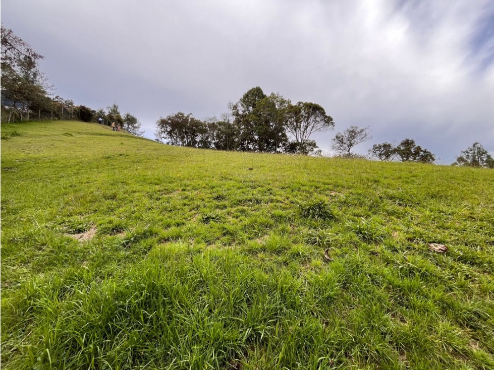 LOTE INDEPENDIENTE EN VENTA EN ENVIGADO ALTO DE LAS PALMAS — foto 4