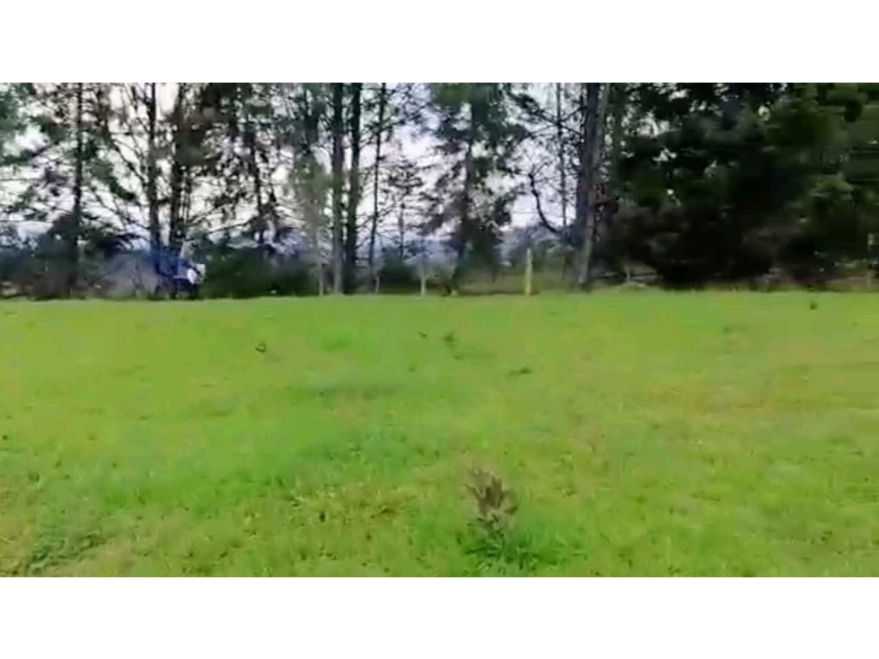 LOTE INDEPENDIENTE EN VENTA EN RIONEGRO ANTIOQUIA AL LADO DEL AEROPUE